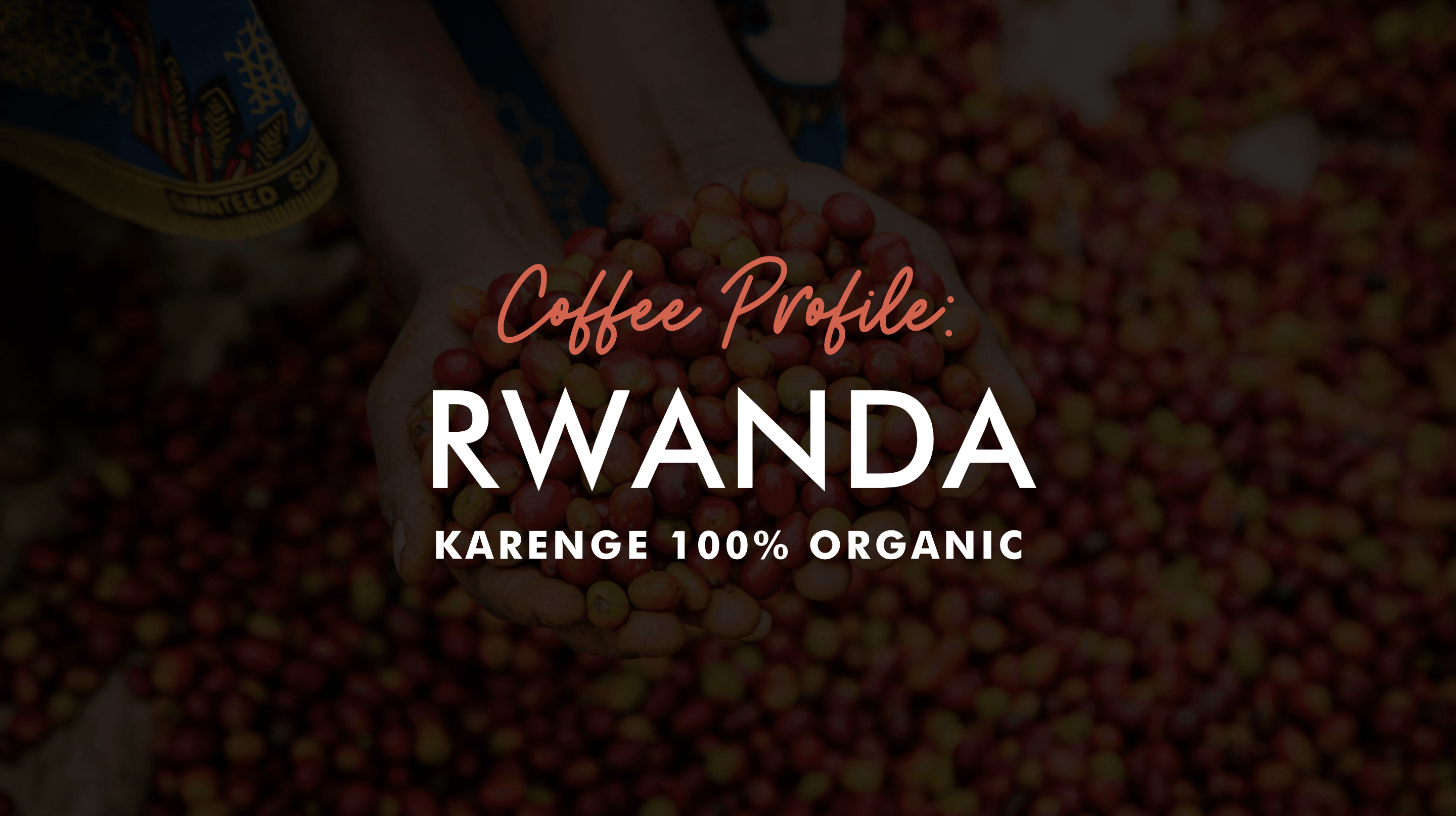 Coffee Profile: Rwanda Karenge 100% Organic