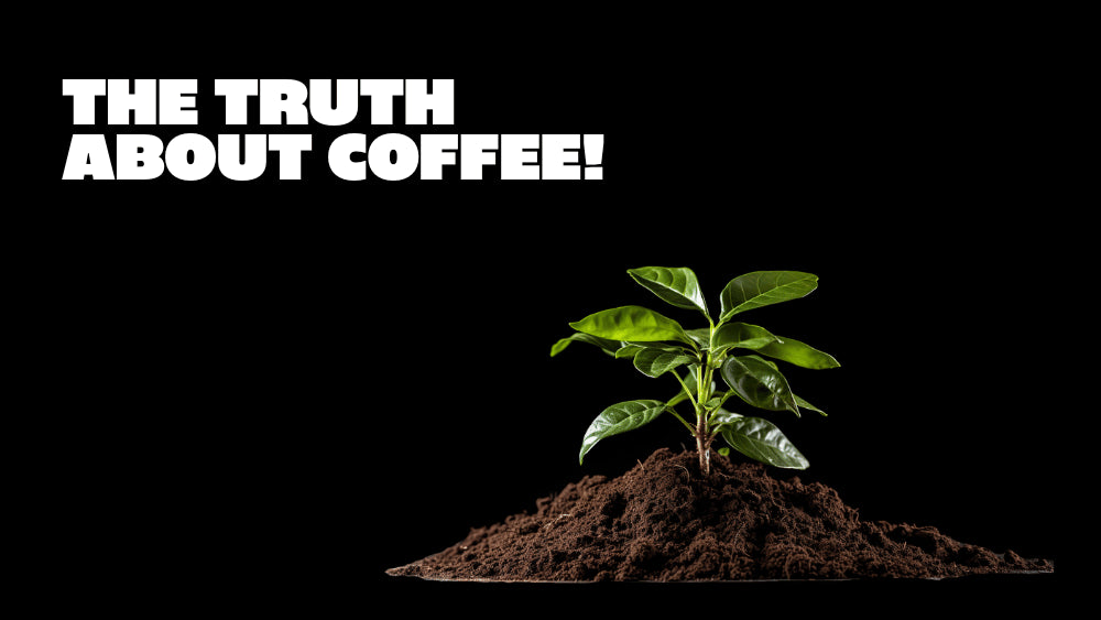 Is coffee good for you?