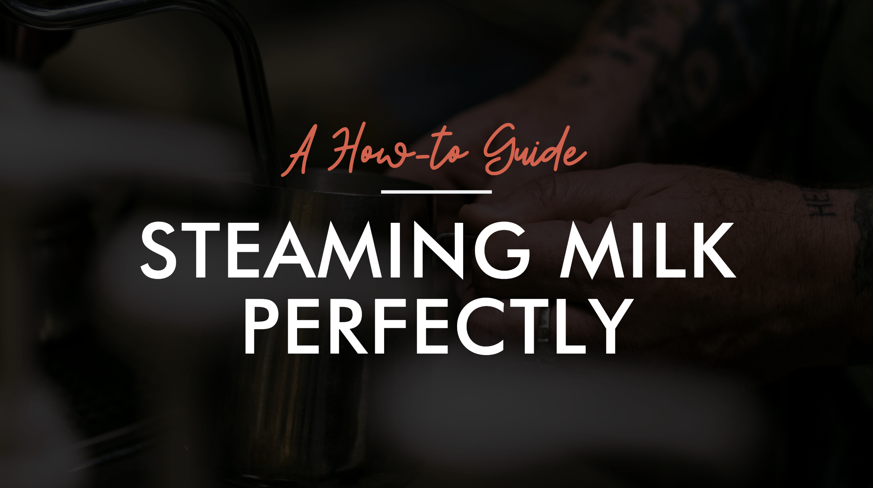 How To Steam Milk; Tips + Troubleshooting