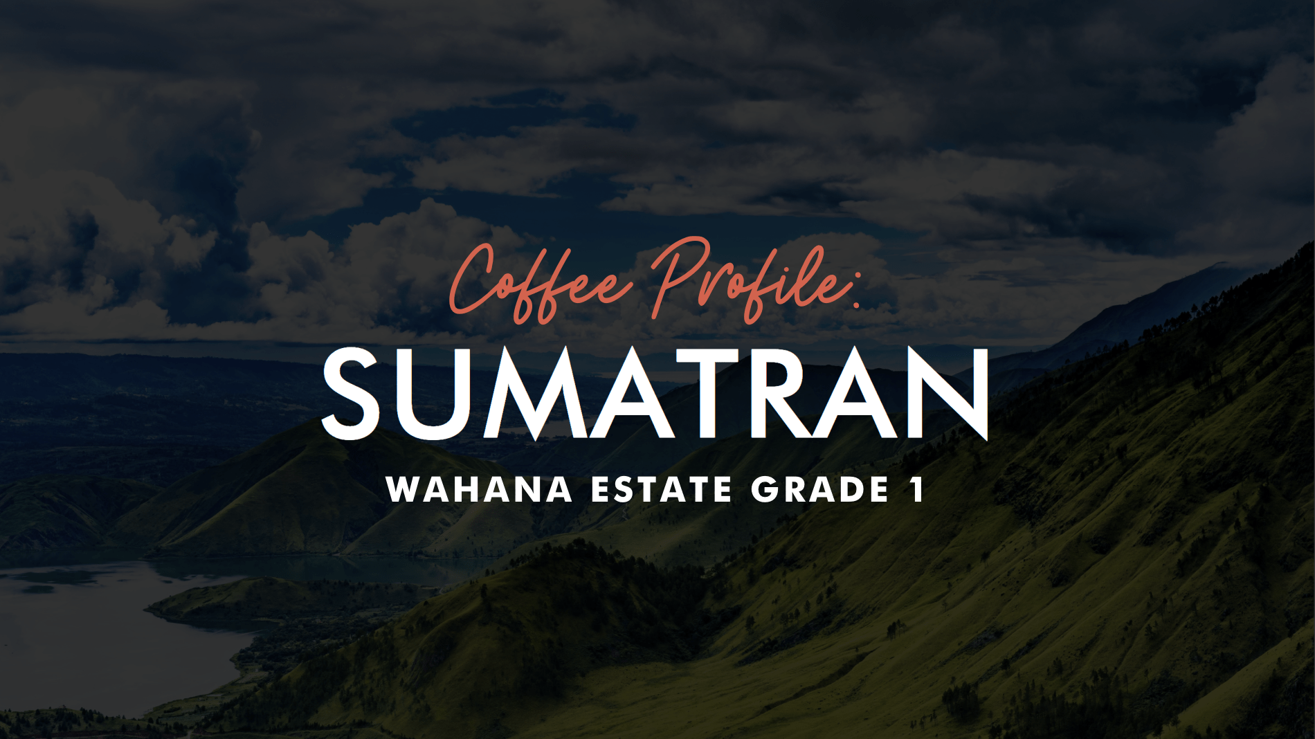 Coffee Profile: Sumatra Wahana Estate Rasuna Grade 1