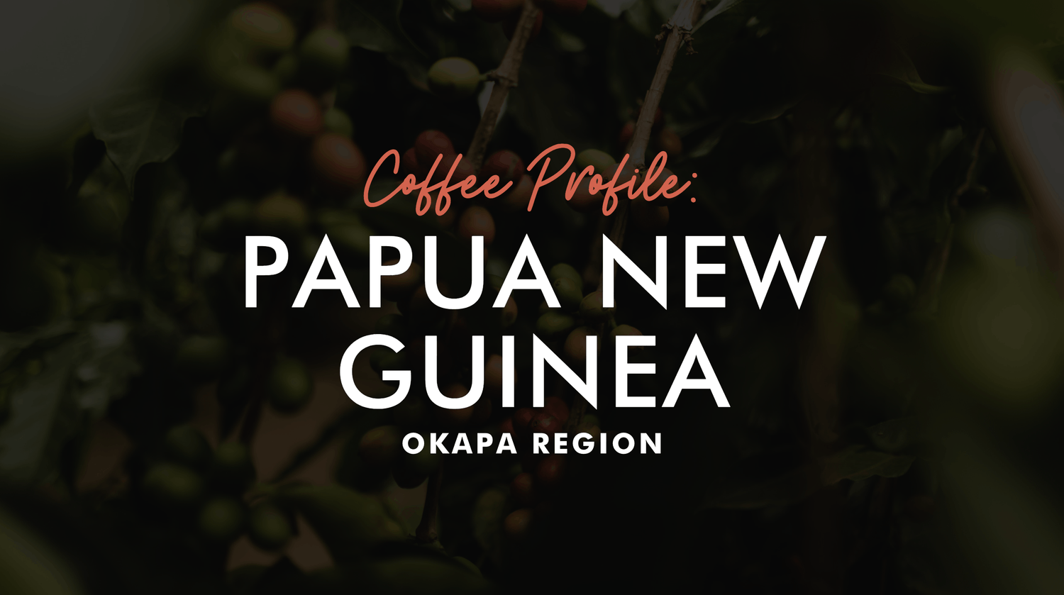 Coffee Profile: Papua New Guinean Single Origin